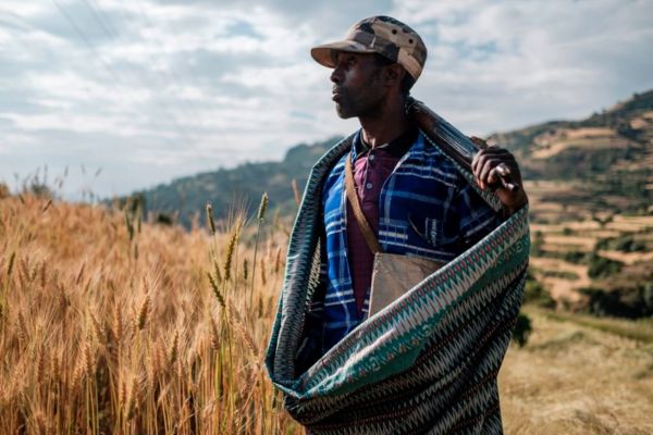 В Эфиопии задержана группа репортеров, в том числе сотрудник Би-би-си