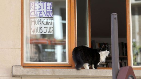 Коронавирус в мире: Германия ужесточает контроль на границе, Франция в "зоне высокого риска"