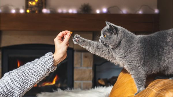 Дайджест: ВОЗ пока не исключает лабораторного происхождения Covid-19; Россию ждет третья волна; памятник Грете Тунберг вызывает вопросы