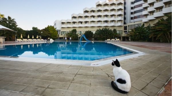 Турецкая лира упала на 14%. Подешевеют ли туры в Анталью?