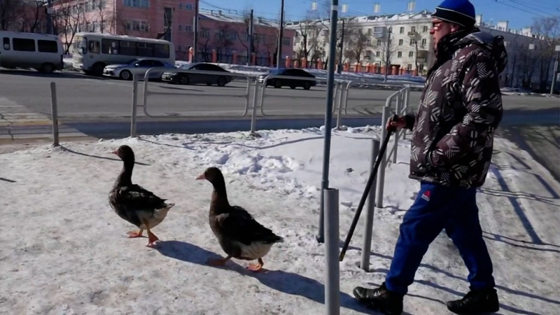 Дайджест: реакция на слова Байдена о Путине и новые санкции США против России