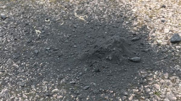 Неделю назад в Англии упал метеорит. Ученые собрали его обломки и говорят, что это большая редкость