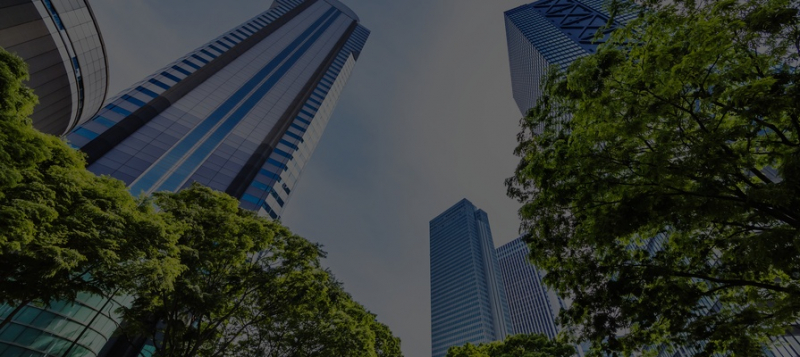 Акции «зеленых» компаний резко выросли на фоне экологической политики администрации Байдена