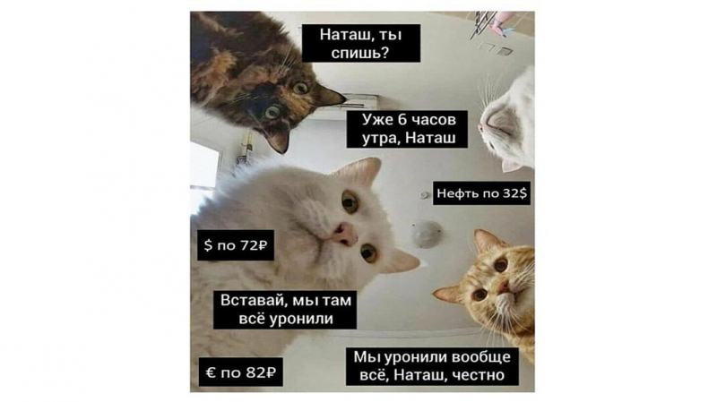Автор мема про котов и Наташу регистрирует торговый знак «Наташа, мы все уронили»
