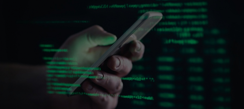 «Билайн» открыл сайт для «пробива» людей по номерам телефонов