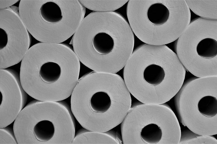 Производитель сырья для туалетной бумаги предупредил о перебоях с поставками