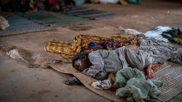 Дайджест: ВОЗ пока не исключает лабораторного происхождения Covid-19; Россию ждет третья волна; памятник Грете Тунберг вызывает вопросы