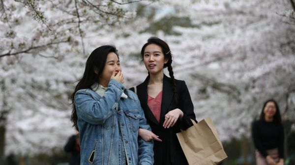 Дайджест: "Эвер Гивен" сняли с мели, Англия выходит из локдауна