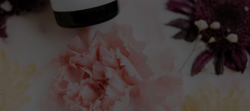 EdTech-платформа для женщин «Академия перемен» привлекла 60 млн рублей