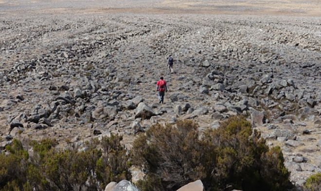 Гигантские «тигровые полосы» из камней в Эфиопии хранят тайну последнего оледенения
