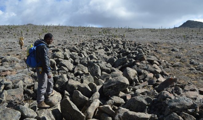 Гигантские «тигровые полосы» из камней в Эфиопии хранят тайну последнего оледенения