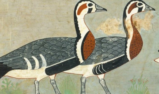 На древнеегипетских фресках возрастом 4600 лет обнаружили вымерший вид гусей 