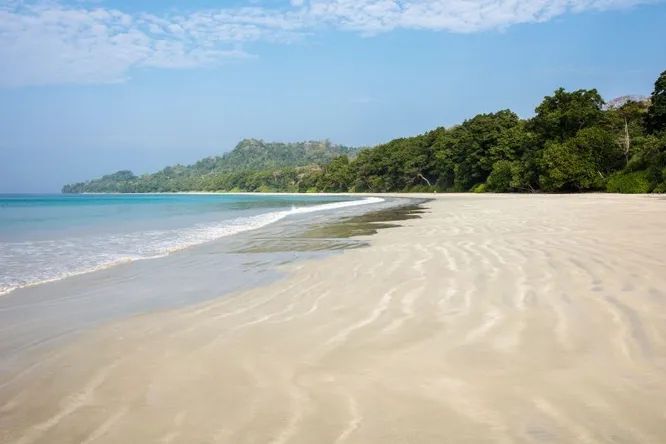 На удаленных островах обнаружен опасный грибок, устойчивый к лекарствам