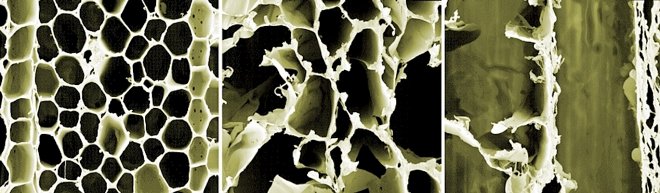 Наногенераторы из обычной древесины превратят полы в источник энергии