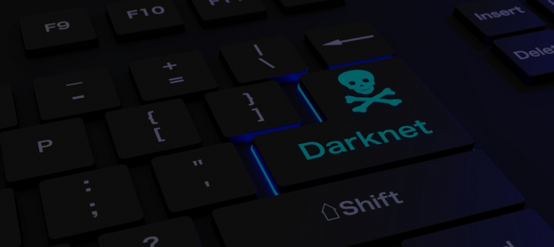 Отчаявшиеся соискатели готовы работать на кибермошенников — исследование