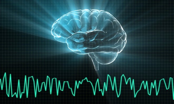 После смерти человека в его мозгу просыпаются загадочные «клетки-зомби»