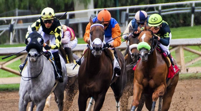 Развод на ставках: схемы мошенничества