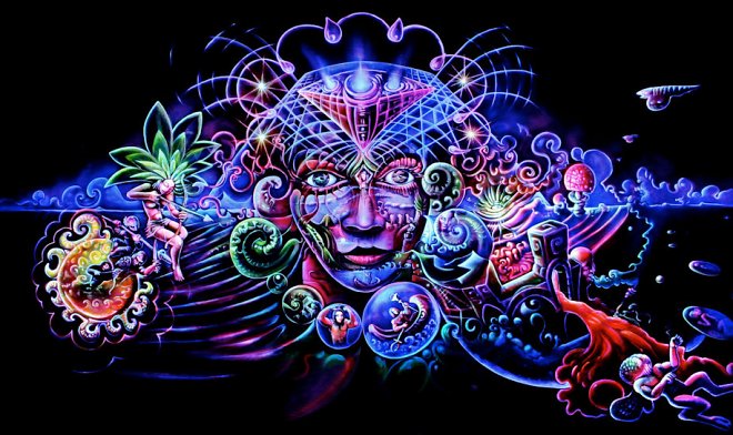 Сенатор Калифорнии требует прекратить «войну с мнимыми наркотиками» и легализовать психоделики 