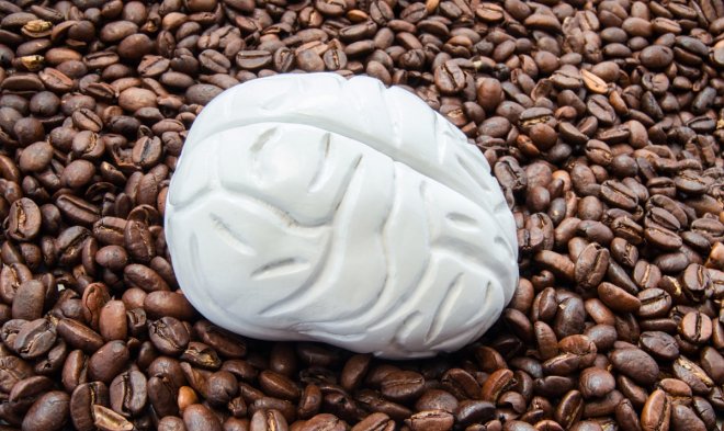 Швейцарские ученые: потребление кофеина снижает объем серого вещества в мозге