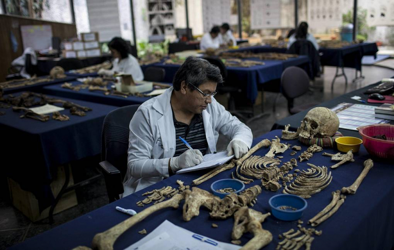 Ученые усомнились, что женский таз расширился из-за перехода к прямохождению