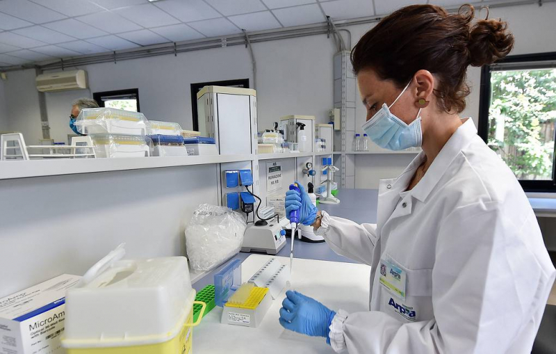 Ученые выяснили, почему человеческий мозг больше обезьяньего