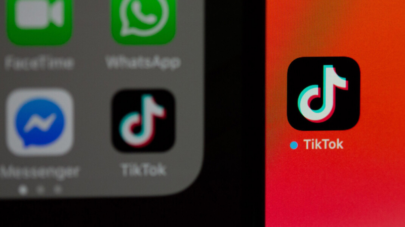 Учителя по просьбе властей сделали рассылку о «призывах к суициду» в TikTok. Эксперт сочла это манипуляцией