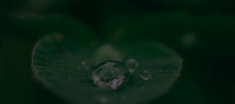 В Москве пройдет конференция о будущем российского рынка устойчивого финансирования