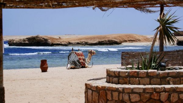 Сочи или Египет? Где и как отдыхать россиянам после закрытия Турции