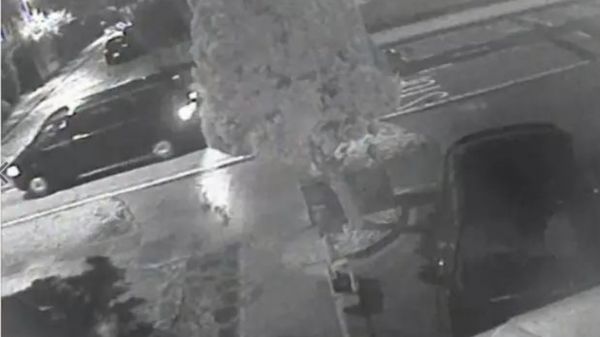 Смерть соратника Березовского в Лондоне: полиция ищет подозрительный фургон