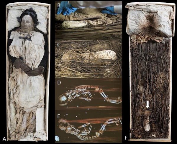 "Он в гробу не один". Вместе с епископом похоронили зародыш его внука