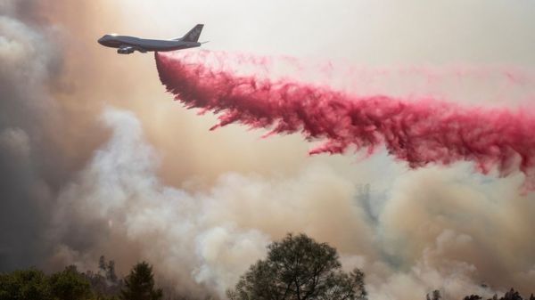 Глобальное потепление: "невероятно горячий" 2020-й завершил самые жаркие 10 лет в истории наблюдений