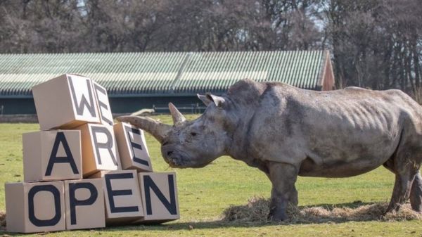 Коронавирус: в Англии открываются пабы, магазины и бассейны, люди ликуют