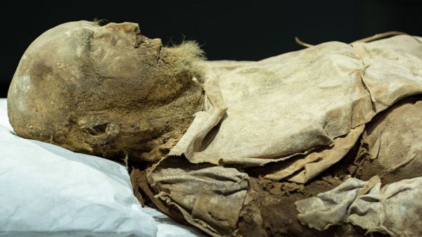 "Он в гробу не один". Вместе с епископом похоронили зародыш его внука