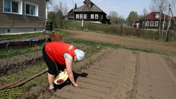 Путин объявил 1-10 мая нерабочими днями из-за коронавируса