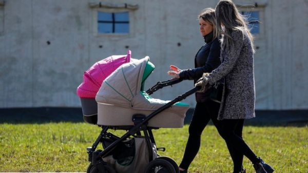 Выплата детских пособий в России совпала с голосованием по Конституции