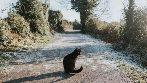 Дайджест: Кремль может объявить Британию недружественной страной; будет ли война США и Китая?