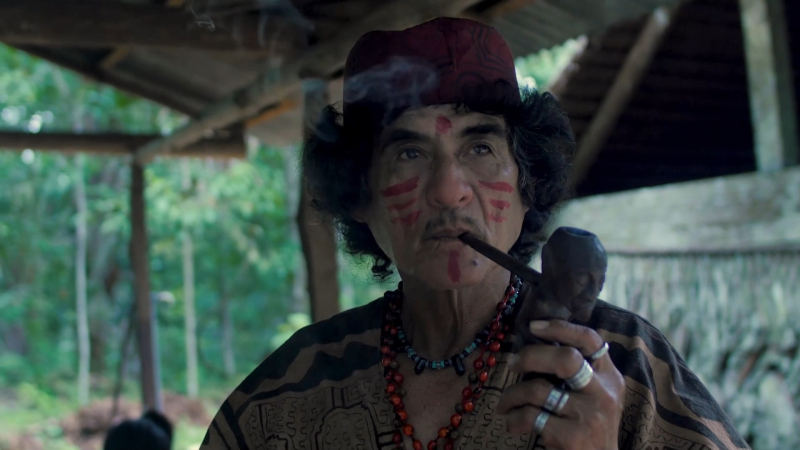 Айяуаска против рака. Режиссер Настя Коркия о путешествии за чудом к берегам Амазонки и фильме "Я счастлива"