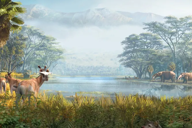 Экосистемы оставались стабильными, несмотря на исчезновение видов