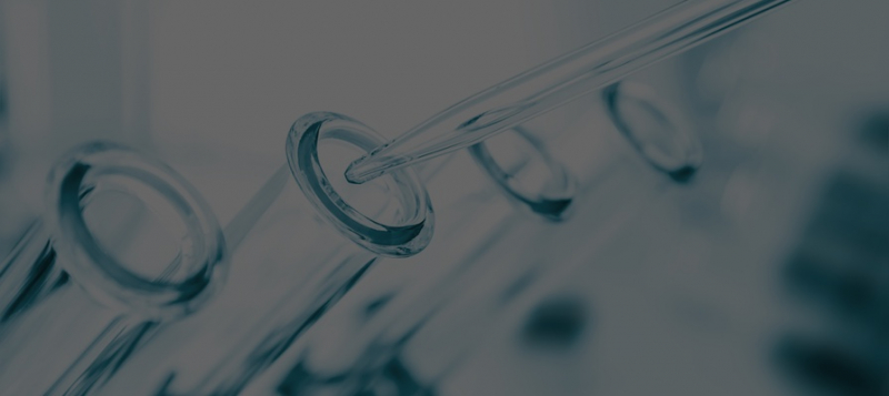 Капсула для сна, трость с искусственным интеллектом и живая кожа: 9 ярких стартапов Startup Tour