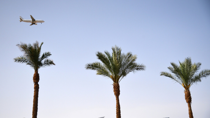 МИД России анонсировал открытие чартерных рейсов в Египет в «ближайшее время»