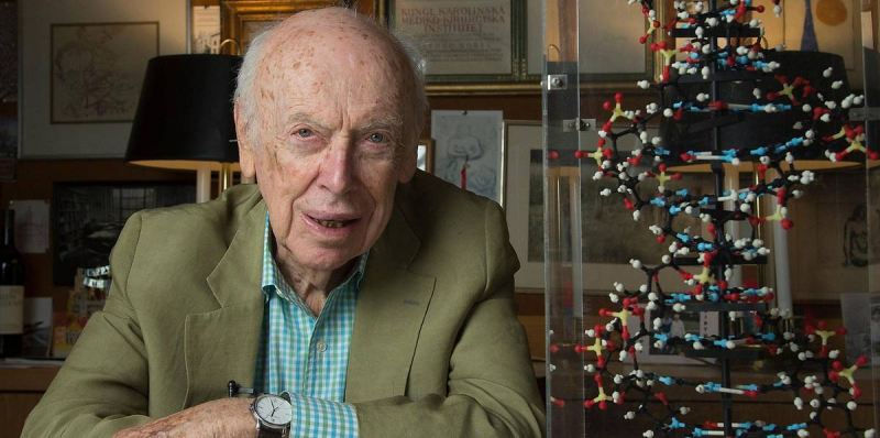 "Мы разгадали тайну жизни!" Как была открыта двойная спираль ДНК