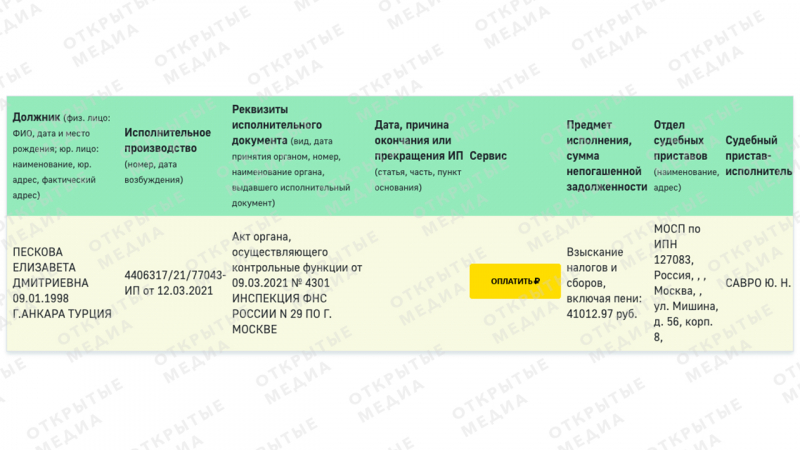 Налоговики заблокировали счета компании Татьяны Навки, супруги пресс-секретаря президента