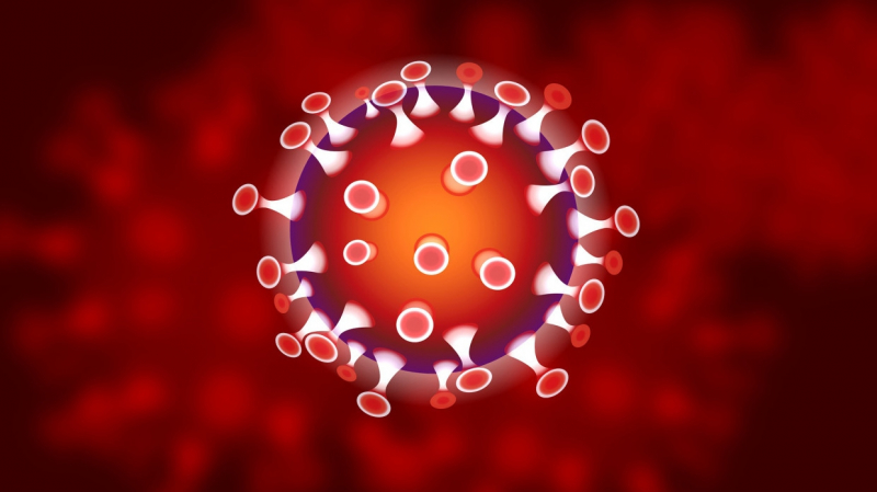 Новое лекарство от COVID-19 обнаружили в Калифорнийском университете