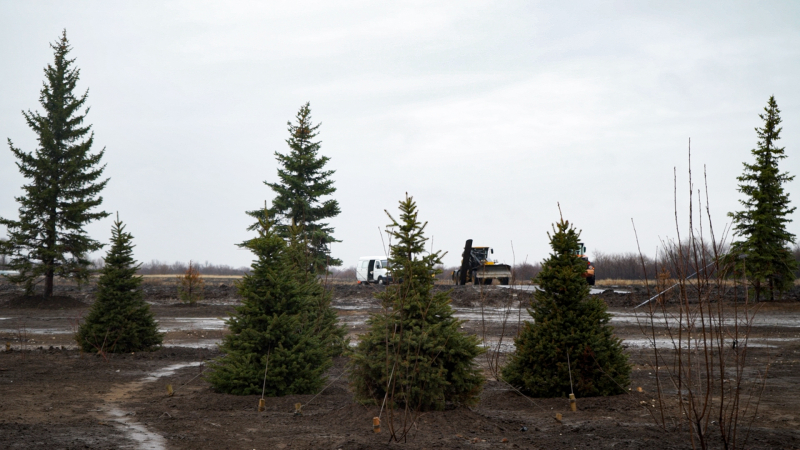 Парк володинского периода. Как в разгар пандемии потратили 1,2 млрд рублей на проект спикера Госдумы