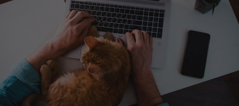 Пятая часть работодателей будет работать в дни между майскими праздниками — исследование 