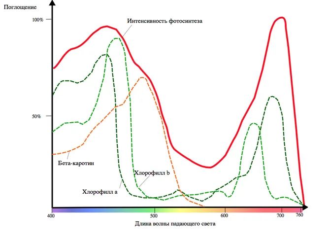 Почему Земля — не самое лучшее место для жизни: идеальный мир