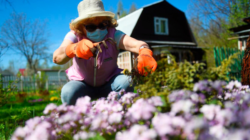 Почти четверть россиян взяли отпуск на объявленные Путиным майские каникулы