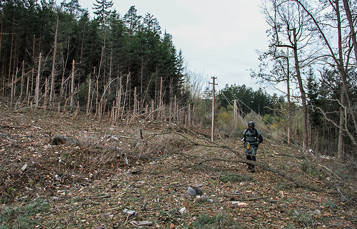 Президент Чехии заявил, что нет данных об агентах из РФ во Врбетице