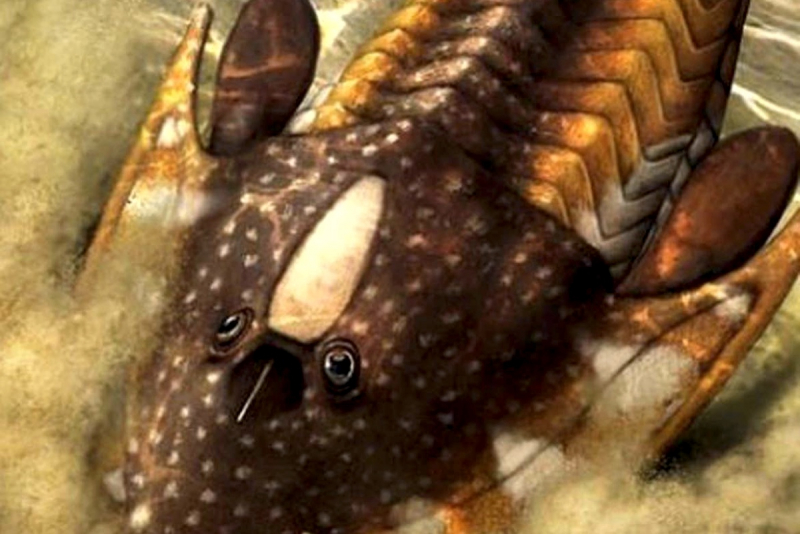 Происхождение костей животных связали с накоплением минералов