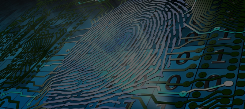 Соберут все данные: чем может обернуться перезапуск Единой биометрической системы